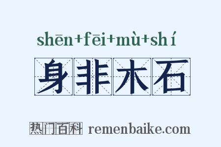 身非木石是什么意思的图片